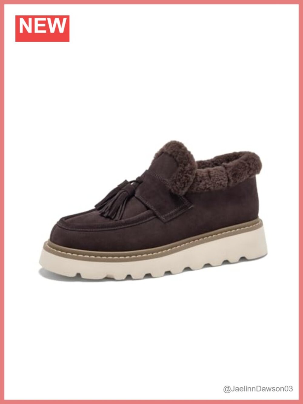 Fur Lined Platform Tassel Loafers Leather Slip-On Winter Shoes